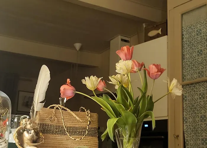Echoppe Saint Augustin Bed & Breakfast *